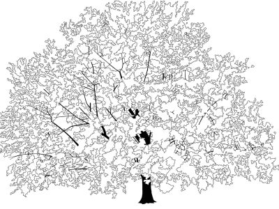 Illustration by Sara Marie Westh