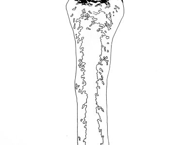 Illustration by Sara Marie Westh